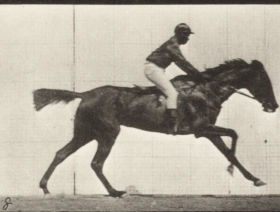 Plate 623 'Annie G.' galloping — figure reference